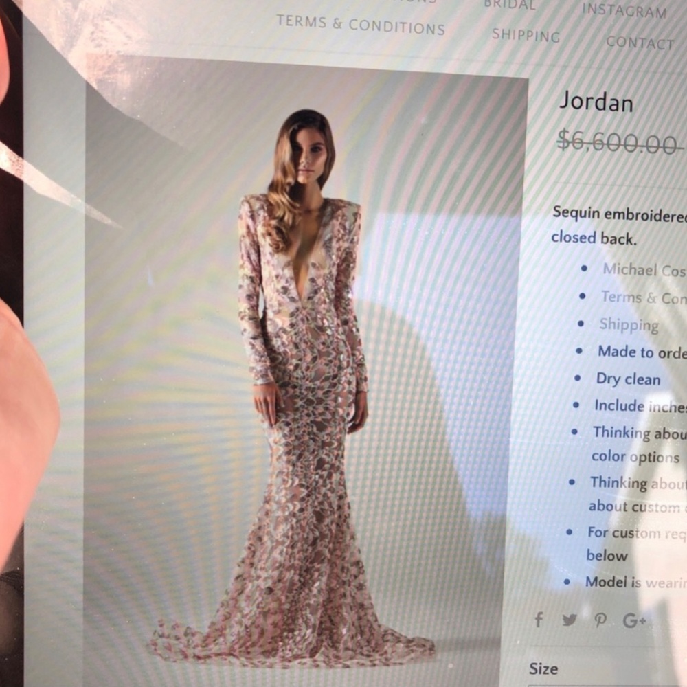 Michael Costello Gown Size 2